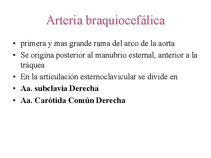 Arteria braquiocefálica • primera y mas grande rama del arco de la aorta •