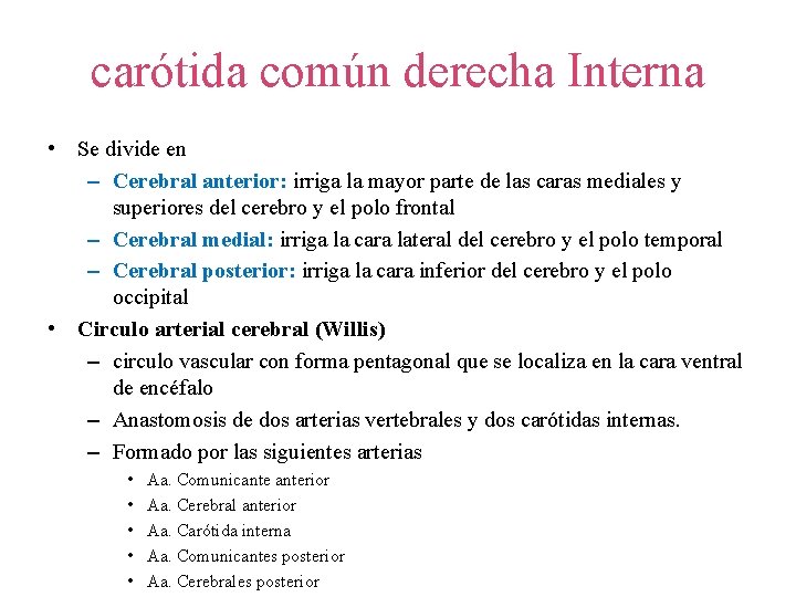 carótida común derecha Interna • Se divide en – Cerebral anterior: irriga la mayor