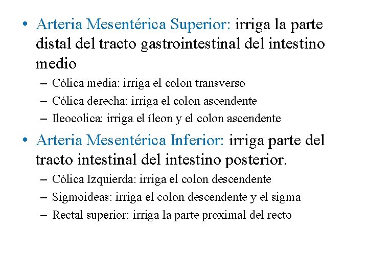  • Arteria Mesentérica Superior: irriga la parte distal del tracto gastrointestinal del intestino