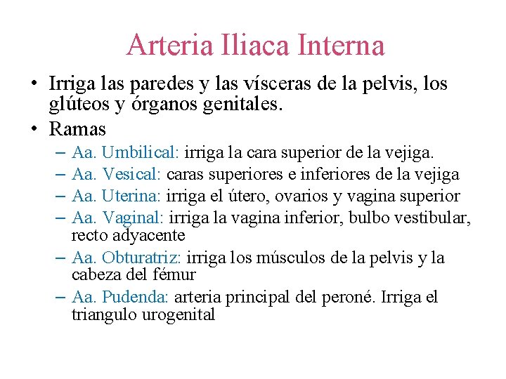 Arteria Iliaca Interna • Irriga las paredes y las vísceras de la pelvis, los