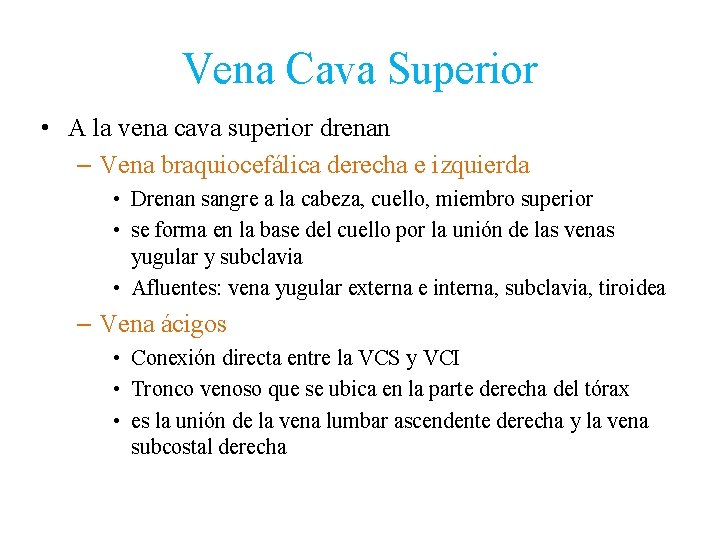 Vena Cava Superior • A la vena cava superior drenan – Vena braquiocefálica derecha