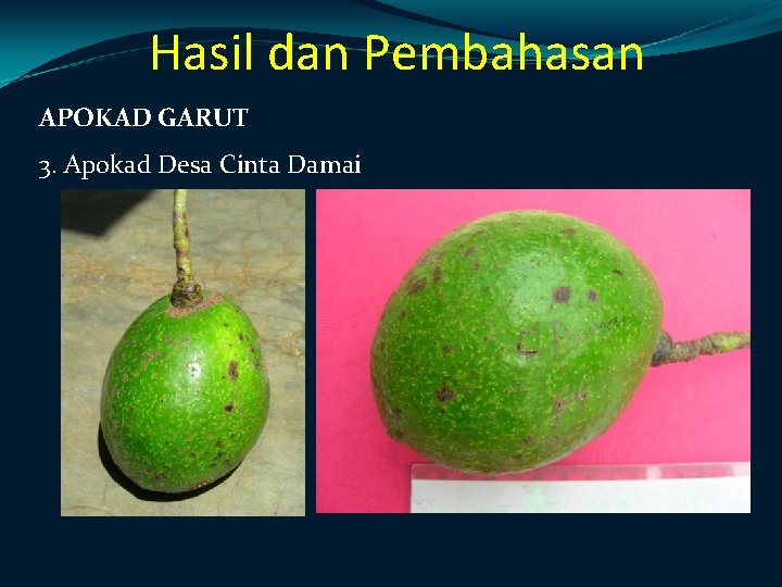 Hasil dan Pembahasan APOKAD GARUT 3. Apokad Desa Cinta Damai Hasil dan Pembahasan APOKAD GARUT 3. Apokad Desa Cinta Damai