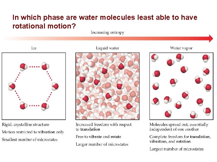 In which phase are water molecules least able to have rotational motion? 46 