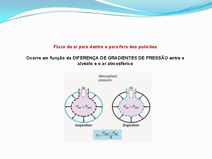 Fluxo de ar para dentro e para fora dos pulmões Ocorre em função da