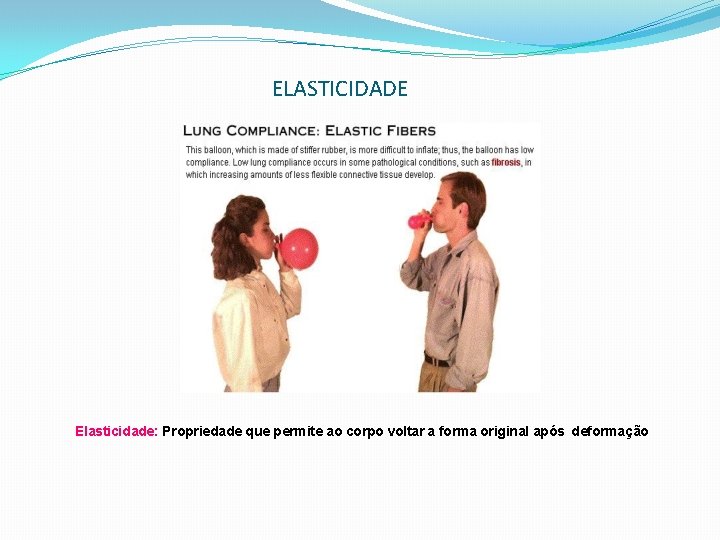 ELASTICIDADE Elasticidade: Propriedade que permite ao corpo voltar a forma original após deformação 