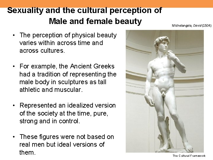 Sexuality and the cultural perception of Male and female beauty Michelangelo, David (1504) •