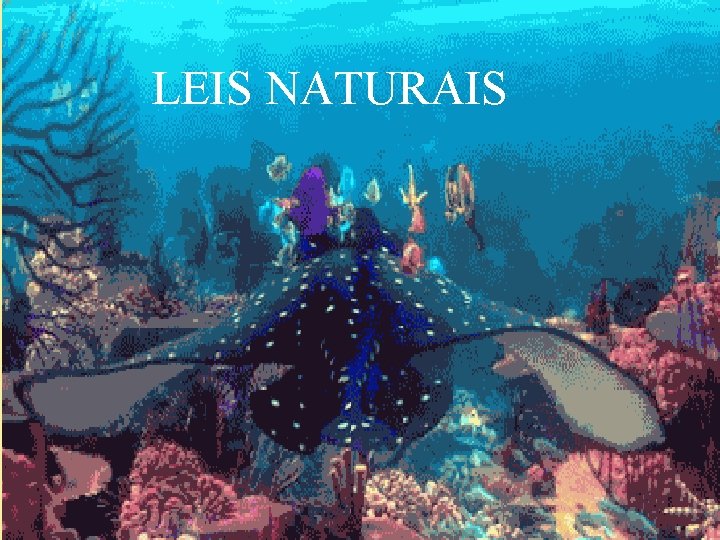 LEIS NATURAIS 