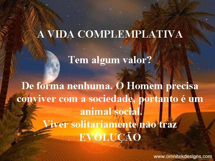 A VIDA COMPLEMPLATIVA Tem algum valor? De forma nenhuma. O Homem precisa conviver com