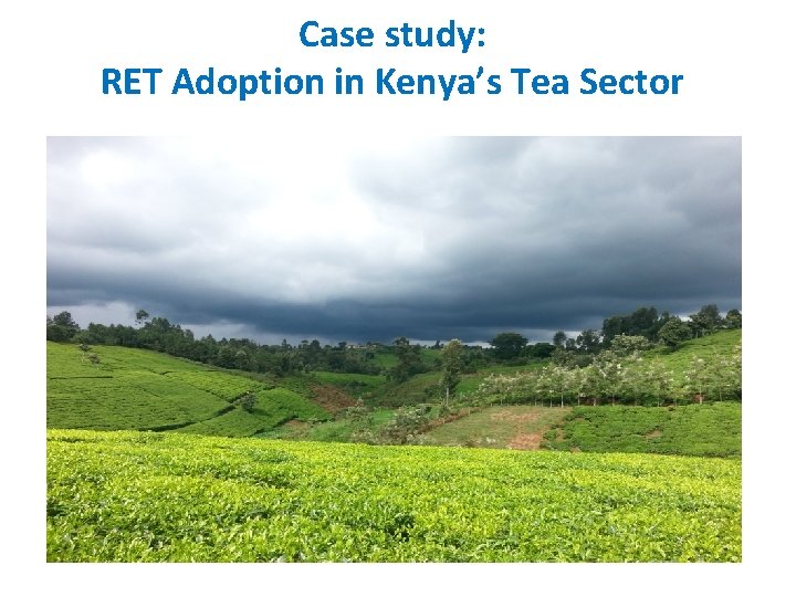 Case study: RET Adoption in Kenya’s Tea Sector 