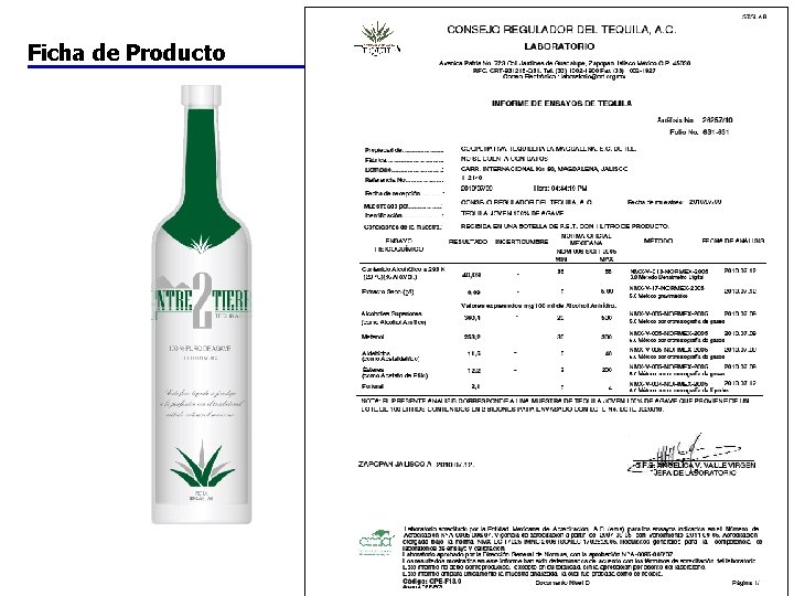 Ficha de Producto 