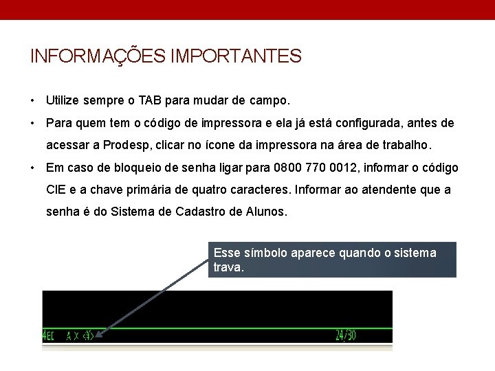 INFORMAÇÕES IMPORTANTES • Utilize sempre o TAB para mudar de campo. • Para quem