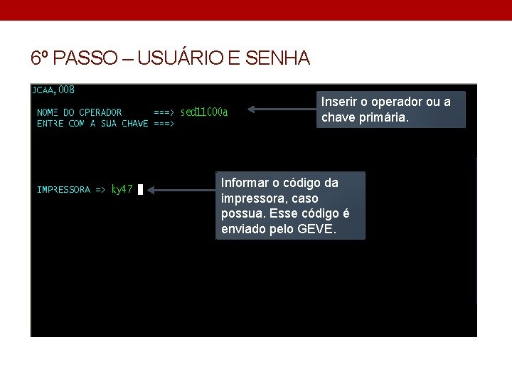 6º PASSO – USUÁRIO E SENHA Inserir o operador ou a chave primária. Informar