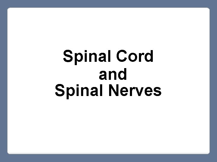Spinal Cord and Spinal Nerves 