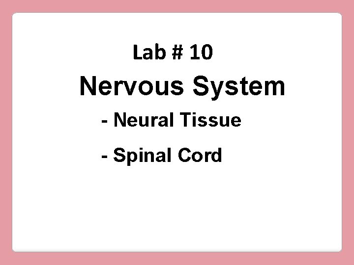 Lab # 10 Nervous System - Neural Tissue - Spinal Cord 