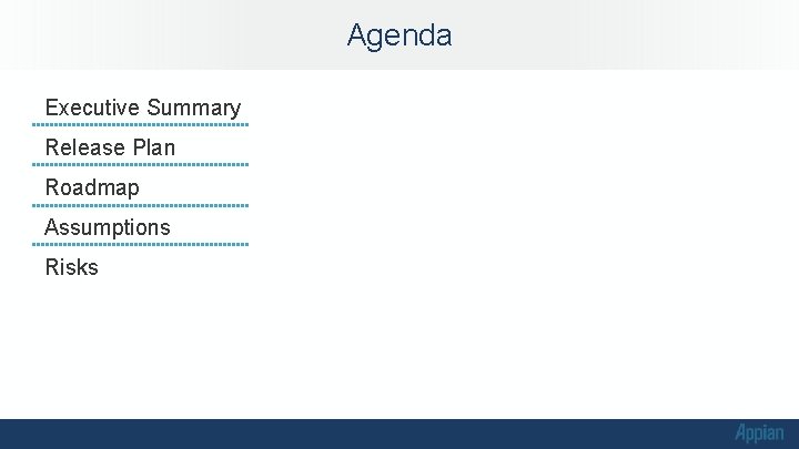 Agenda Executive Summary Release Plan Roadmap Assumptions Risks Agenda Executive Summary Release Plan Roadmap Assumptions Risks