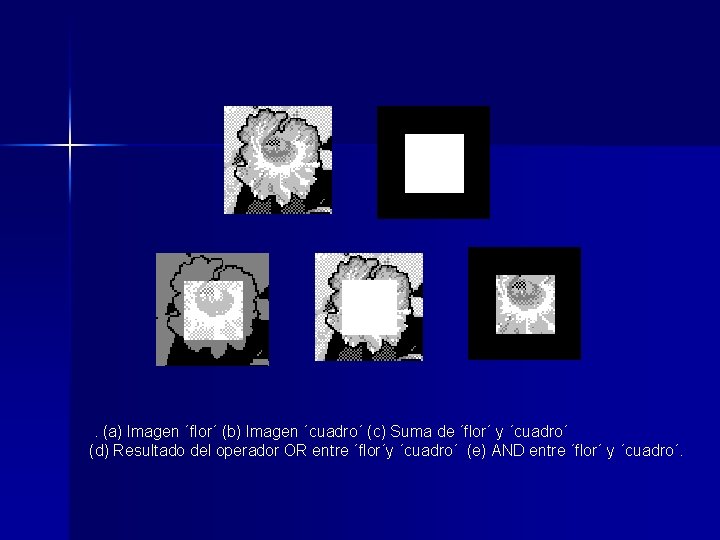 . (a) Imagen ´flor´ (b) Imagen ´cuadro´ (c) Suma de ´flor´ y ´cuadro´ (d)