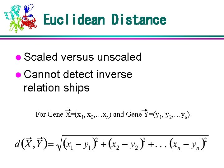 Euclidean Distance l Scaled versus unscaled l Cannot detect inverse relation ships For Gene