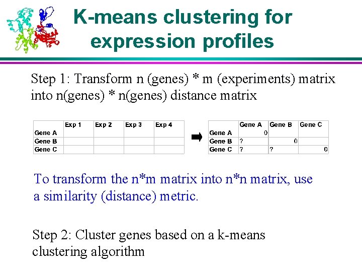 K-means clustering for expression profiles Step 1: Transform n (genes) * m (experiments) matrix