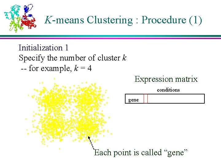 K-means Clustering : Procedure (1) Initialization 1 Specify the number of cluster k --