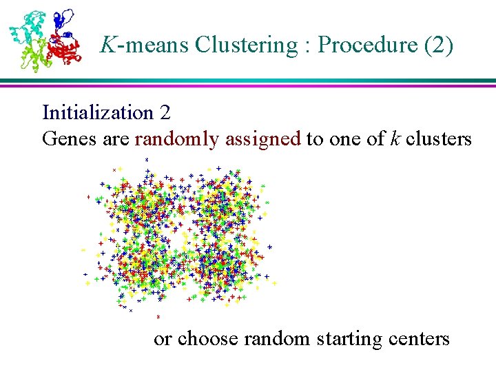 K-means Clustering : Procedure (2) Initialization 2 Genes are randomly assigned to one of