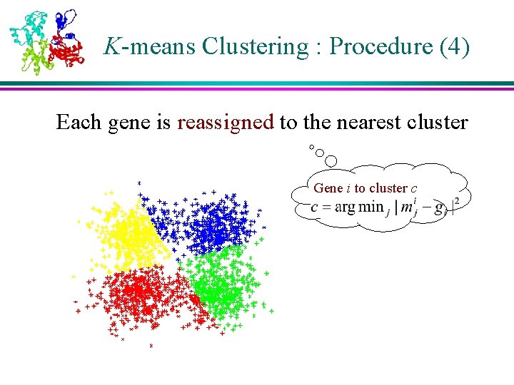 K-means Clustering : Procedure (4) Each gene is reassigned to the nearest cluster Gene