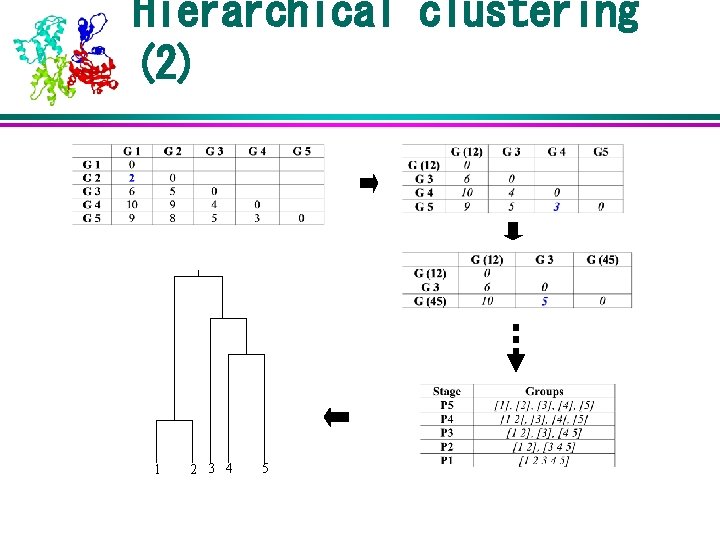 Hierarchical clustering (2) 1 2 3 4 5 