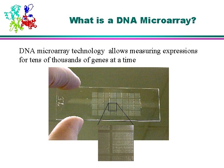 What is a DNA Microarray? DNA microarray technology allows measuring expressions for tens of
