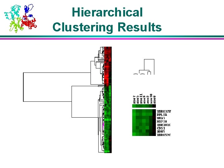 Hierarchical Clustering Results 