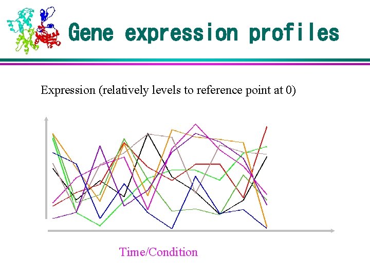Gene expression profiles Expression (relatively levels to reference point at 0) Time/Condition 
