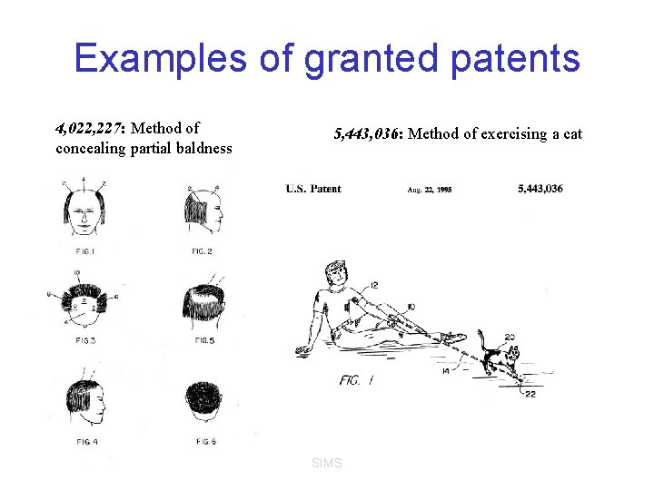 Examples of granted patents 4, 022, 227: Method of concealing partial baldness 5, 443, Examples of granted patents 4, 022, 227: Method of concealing partial baldness 5, 443,