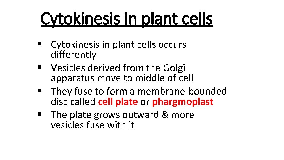 Cytokinesis in plant cells § Cytokinesis in plant cells occurs differently § Vesicles derived