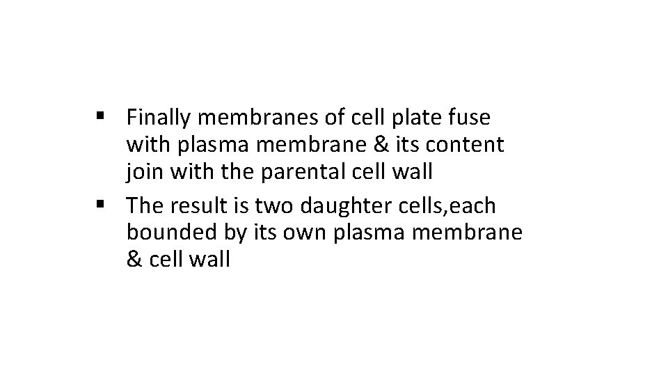 § Finally membranes of cell plate fuse with plasma membrane & its content join