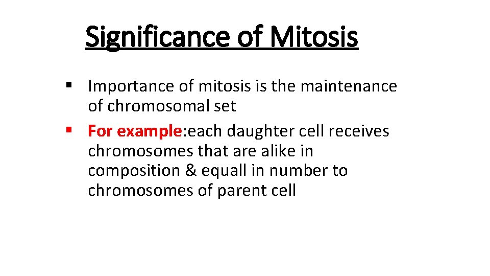 Significance of Mitosis § Importance of mitosis is the maintenance of chromosomal set §