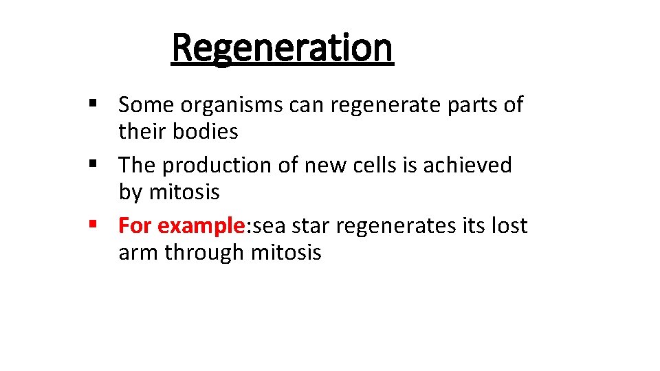 Regeneration § Some organisms can regenerate parts of their bodies § The production of