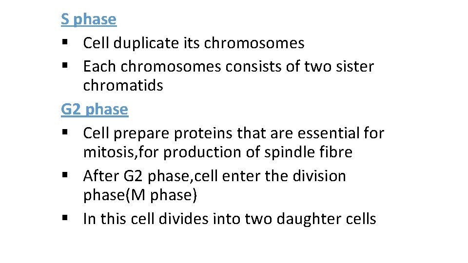 S phase § Cell duplicate its chromosomes § Each chromosomes consists of two sister