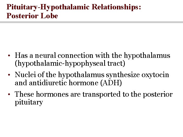 Pituitary-Hypothalamic Relationships: Posterior Lobe • Has a neural connection with the hypothalamus (hypothalamic-hypophyseal tract)
