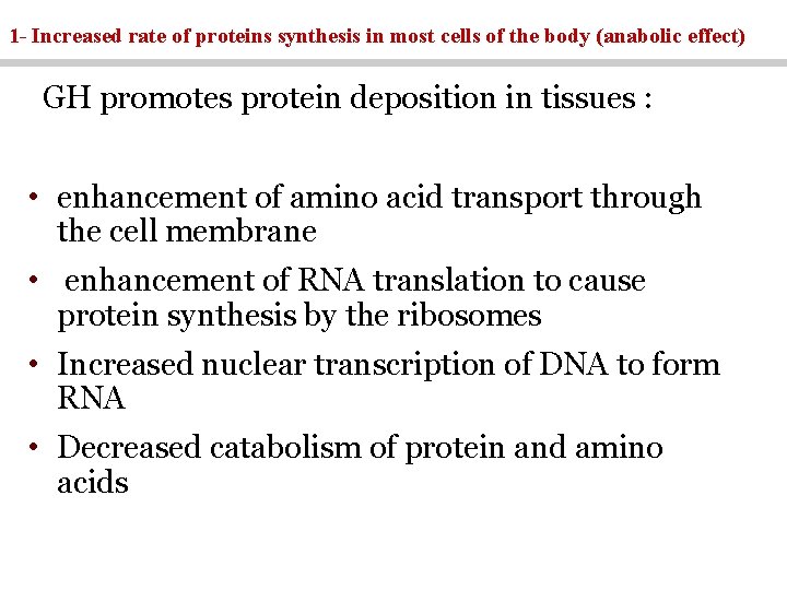 1 - Increased rate of proteins synthesis in most cells of the body (anabolic