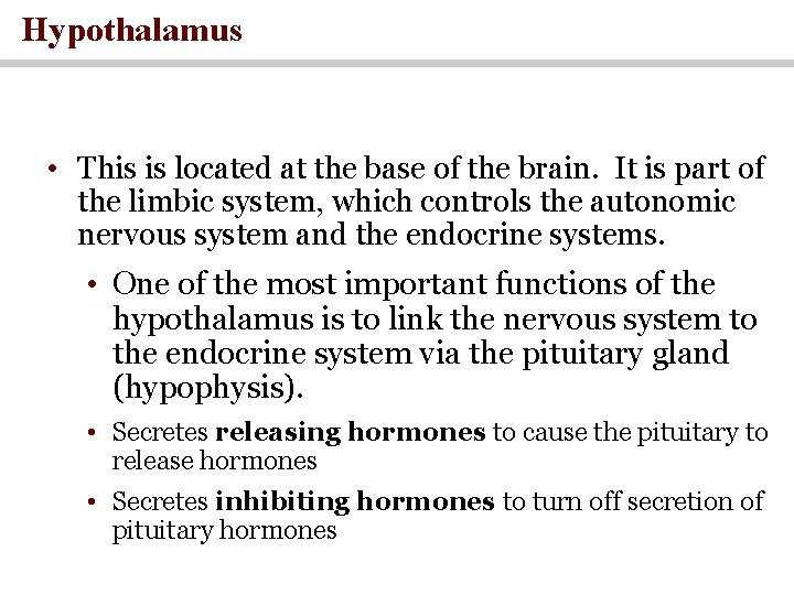 Hypothalamus • This is located at the base of the brain. It is part