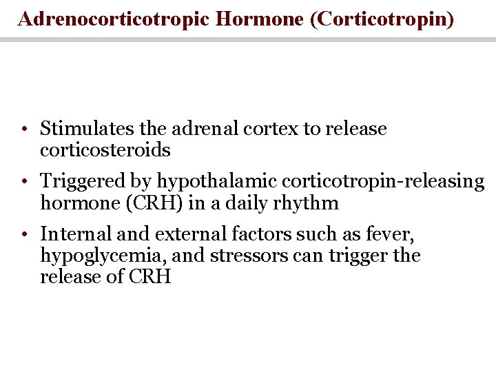 Adrenocorticotropic Hormone (Corticotropin) • Stimulates the adrenal cortex to release corticosteroids • Triggered by