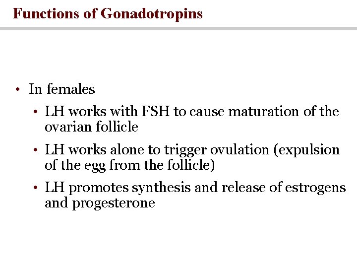 Functions of Gonadotropins • In females • LH works with FSH to cause maturation