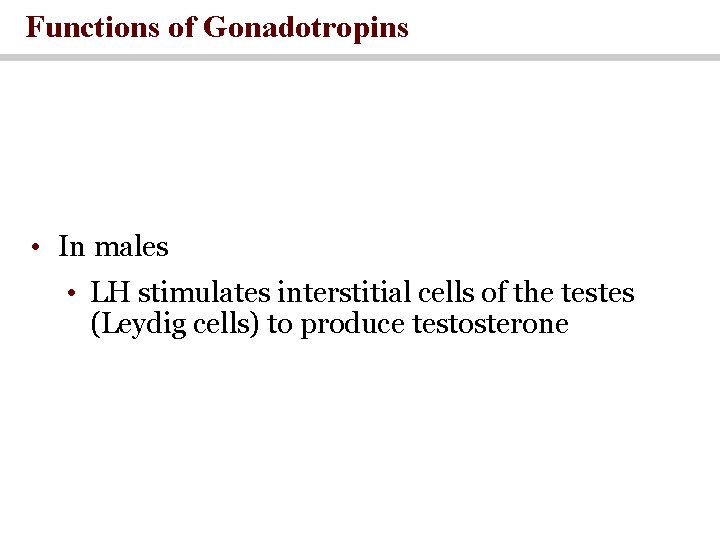 Functions of Gonadotropins • In males • LH stimulates interstitial cells of the testes