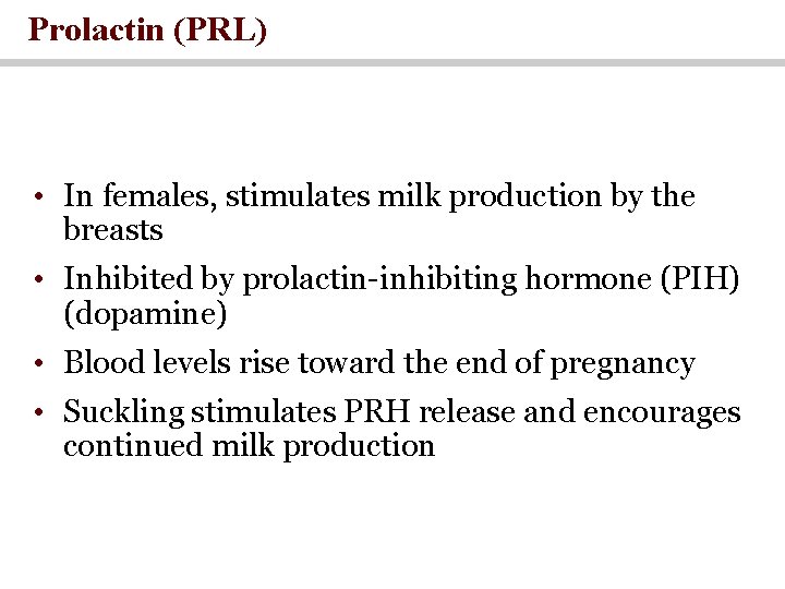 Prolactin (PRL) • In females, stimulates milk production by the breasts • Inhibited by