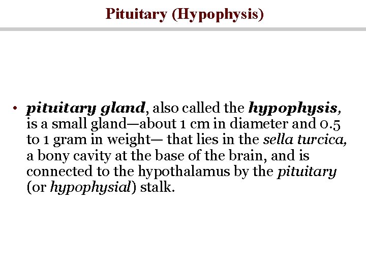 Pituitary (Hypophysis) • pituitary gland, also called the hypophysis, is a small gland—about 1