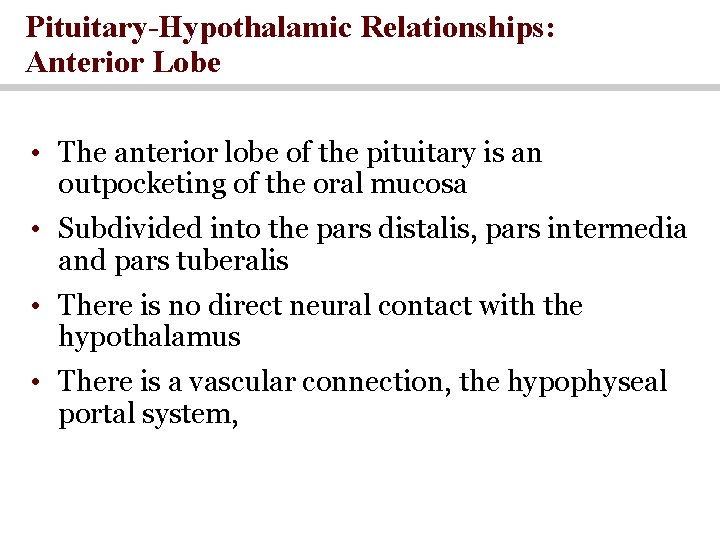 Pituitary-Hypothalamic Relationships: Anterior Lobe • The anterior lobe of the pituitary is an outpocketing