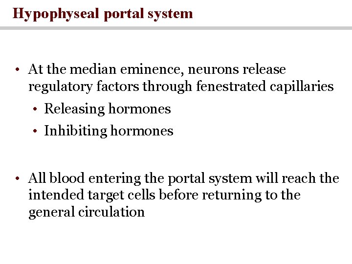 Hypophyseal portal system • At the median eminence, neurons release regulatory factors through fenestrated