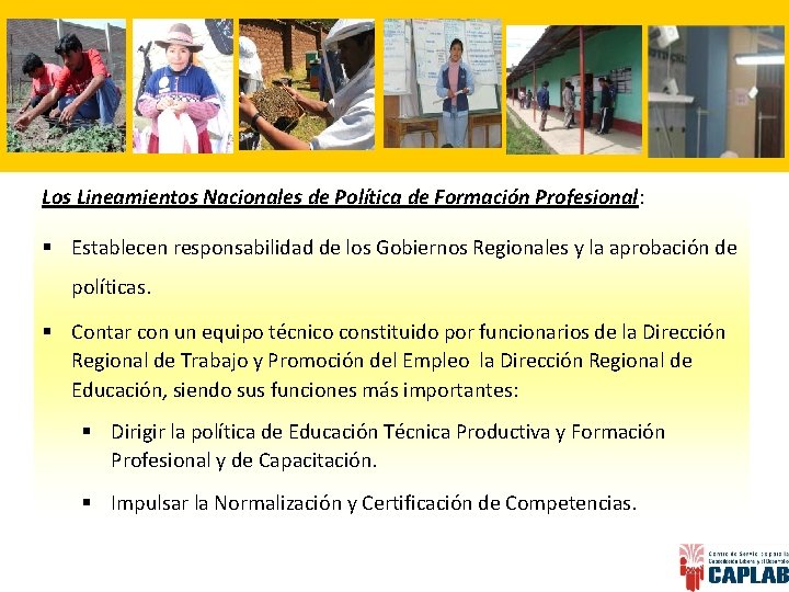 Los Lineamientos Nacionales de Política de Formación Profesional: § Establecen responsabilidad de los Gobiernos