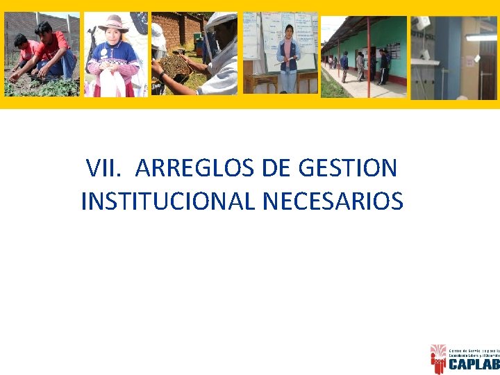 VII. ARREGLOS DE GESTION INSTITUCIONAL NECESARIOS 