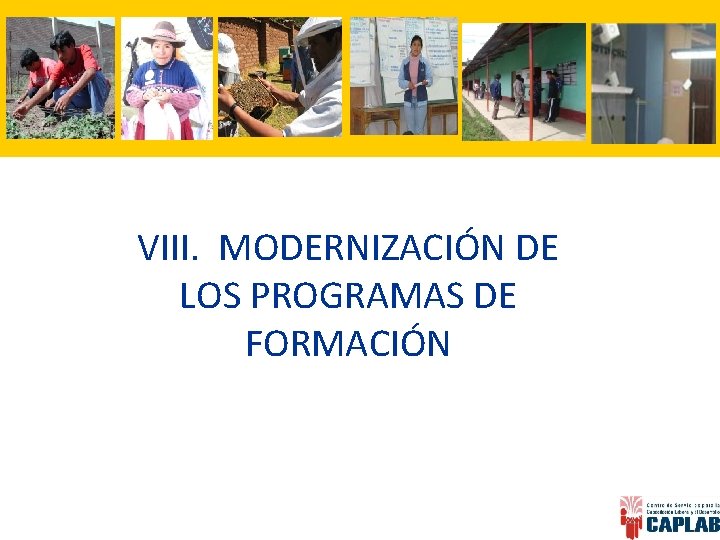 VIII. MODERNIZACIÓN DE LOS PROGRAMAS DE FORMACIÓN 