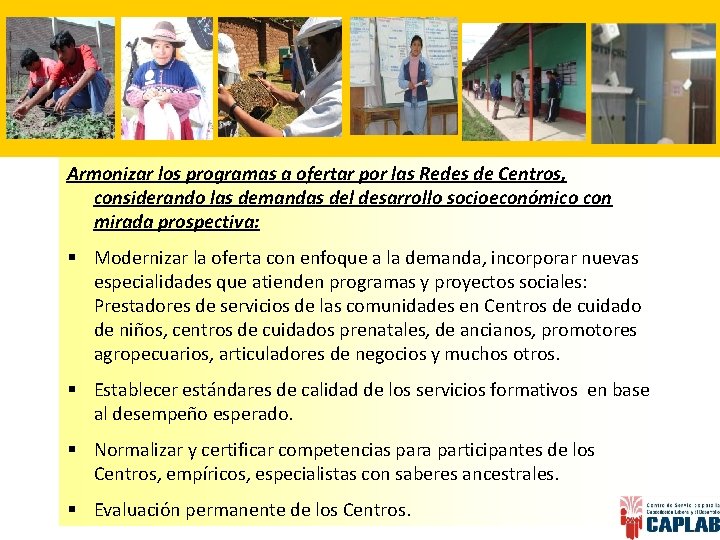 Armonizar los programas a ofertar por las Redes de Centros, considerando las demandas del