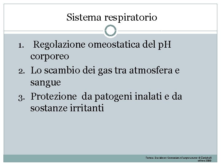Sistema respiratorio Regolazione omeostatica del p. H corporeo 2. Lo scambio dei gas tra Sistema respiratorio Regolazione omeostatica del p. H corporeo 2. Lo scambio dei gas tra